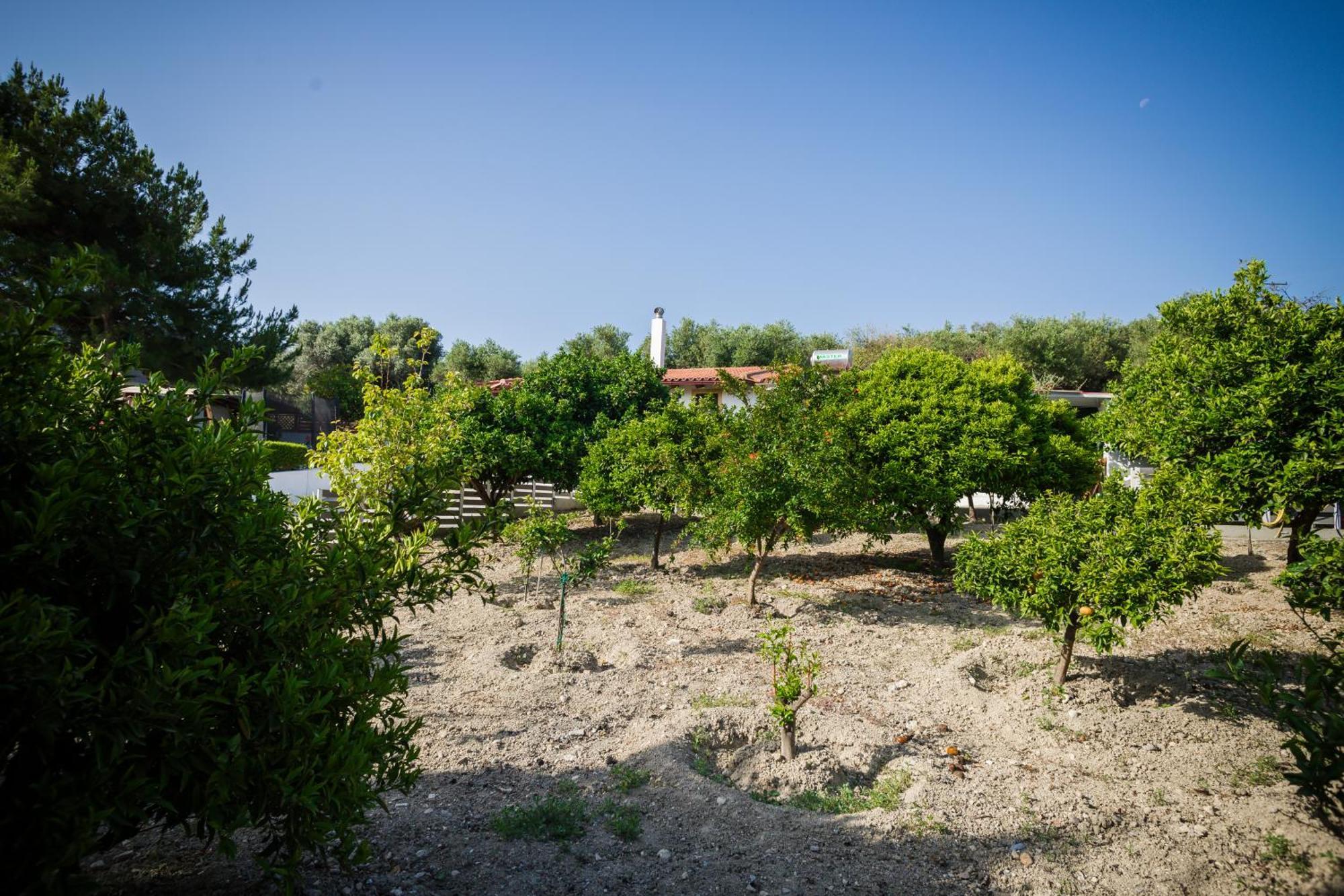 Villa Metochi Rethymno Eksteriør bilde